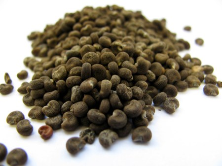 ambrette seeds