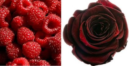 rose_raspberry 2