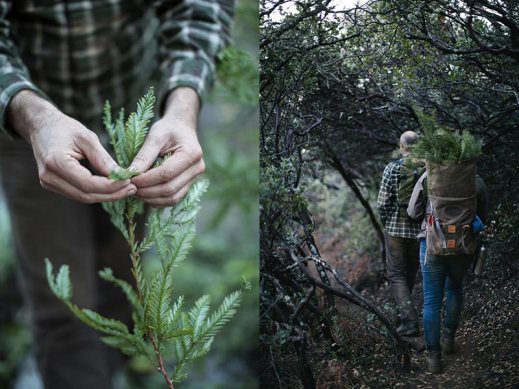 juniper-ridge-procured-design-wilderness