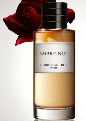 dior ambre nuit