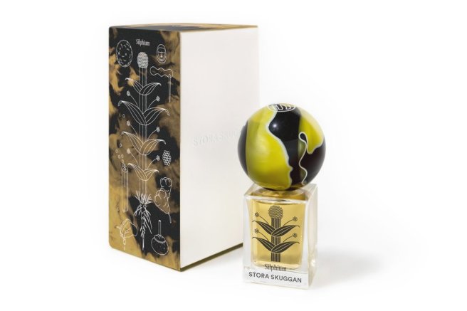 Silphium_box_1024x1024